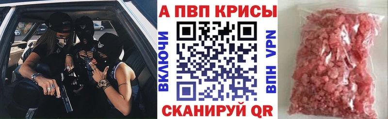 Alfa_PVP СК Сясьстрой