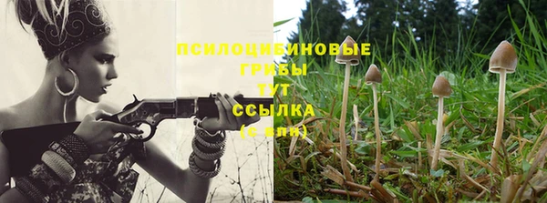 амф Алзамай