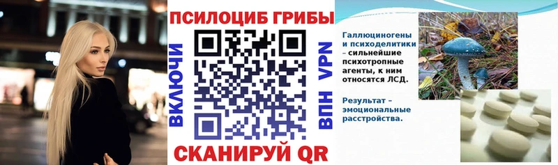 Галлюциногенные грибы Psilocybe  Сясьстрой 